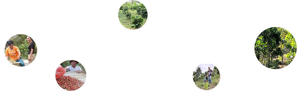 「ふやせば、減らせるんだって!」活動記録